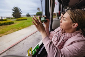 Gran tour de la ciudad de San Francisco + Muir Woods y Sausalito