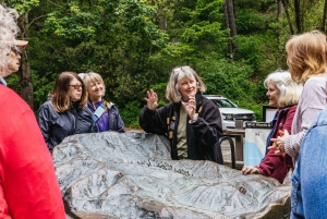 San Francisco Grand City Tour + Muir Woods ja Sausalito