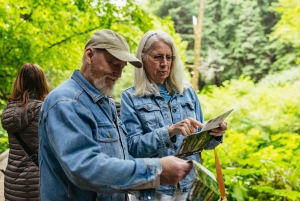 San Francisco Grand City Tour + Muir Woods ja Sausalito