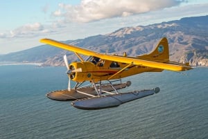 San Francisco: Greater Bay Area Seaplane Tour