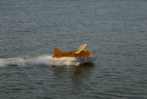 San Francisco: Wycieczka hydroplanem po Greater Bay Area