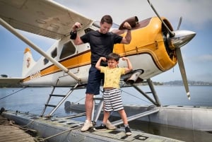 San Francisco: Excursión en hidroavión por la Gran Área de la Bahía