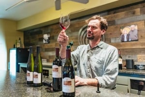 San Francisco : Excursion d'une demi-journée au pays du vin avec dégustations