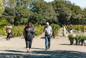 Excursión de medio día a la región vinícola con degustaciones