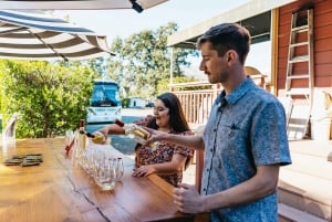 tour di mezza giornata nel paese del vino con degustazioni