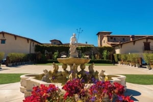 San Francisco: Tour di mezza giornata del vino e tour Hop-on Hop-off della città