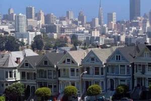 San Francisco: Tour di mezza giornata del vino e tour Hop-on Hop-off della città