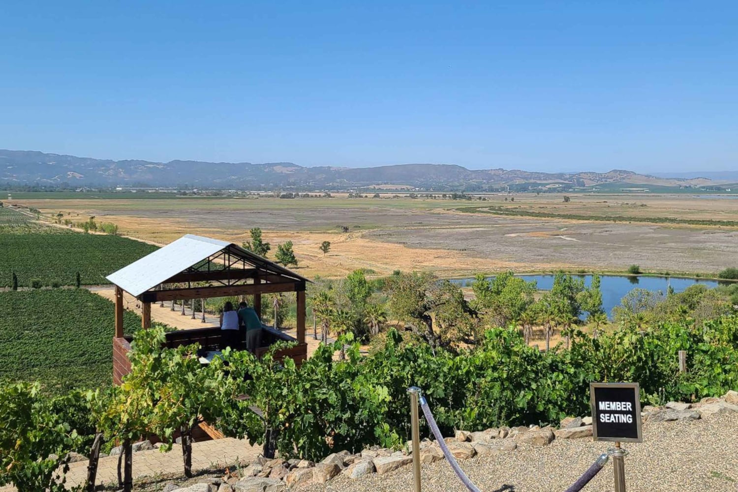 Сан-Франциско: винный тур на полдня с 2 дегустациями