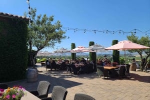 Сан-Франциско: винный тур на полдня с 2 дегустациями