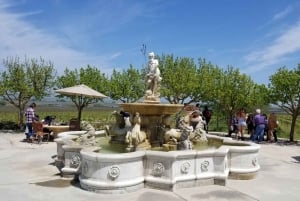 Сан-Франциско: винный тур на полдня с 2 дегустациями