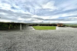 Сан-Франциско: винный тур на полдня с 2 дегустациями