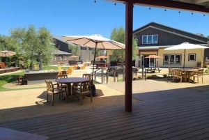 Сан-Франциско: винный тур на полдня с 2 дегустациями