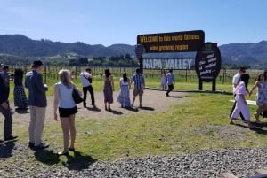 Сан-Франциско: винный тур на полдня с 2 дегустациями