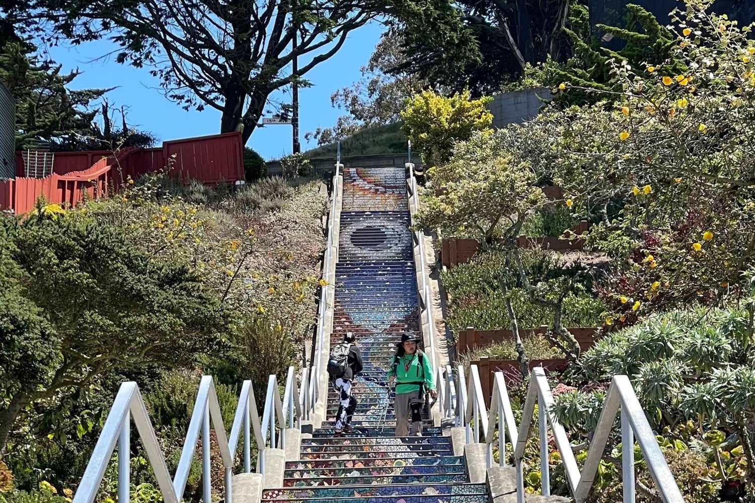 San Francisco: Hidden Stairways & Scenic Views Walking Tour