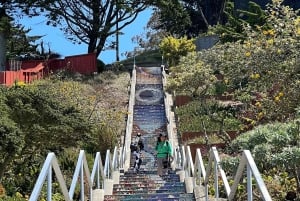 San Francisco: Hidden Stairways & Scenic Views Walking Tour