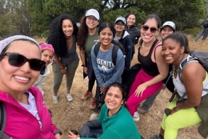 San Francisco: Hidden Stairways & Scenic Views Walking Tour