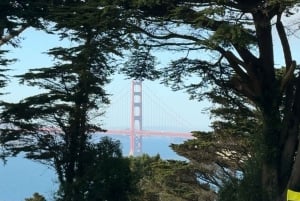 San Francisco: Hidden Stairways & Scenic Views Walking Tour