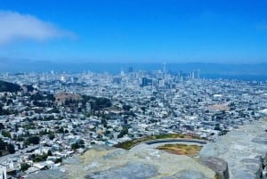 San Francisco: Highlights Private 3-Hour Driving Tour