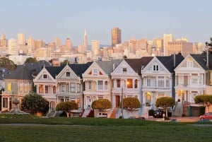 San Francisco: Highlights Private 3-Hour Driving Tour