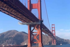 San Francisco: Lo más destacado del tour a pie privado con guía