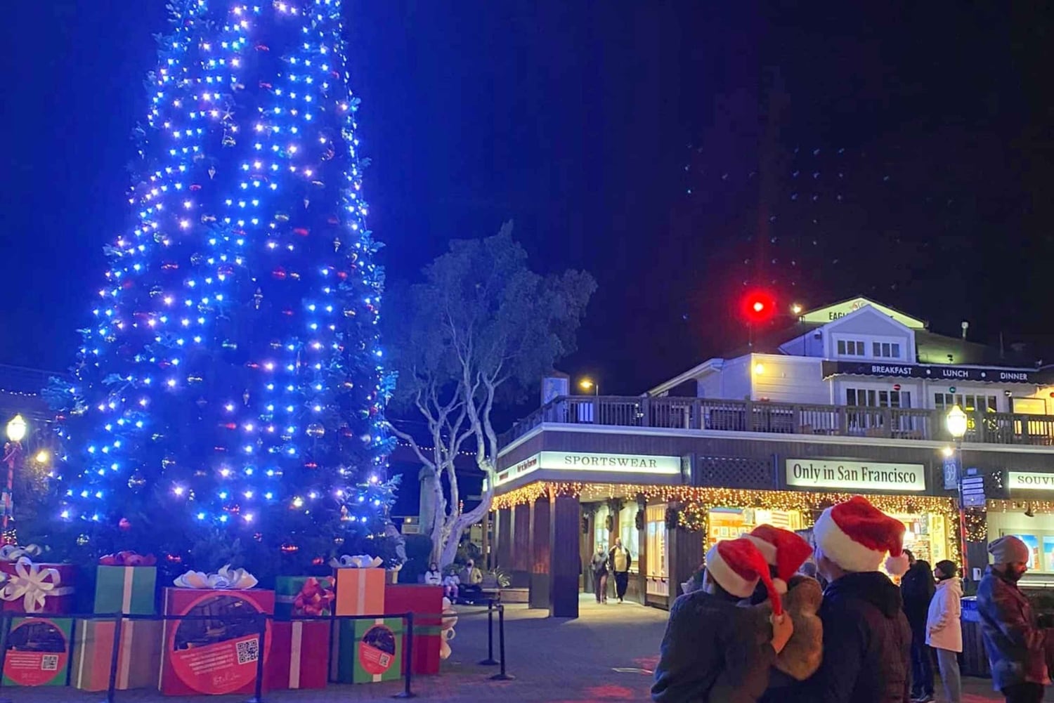 San Francisco: tour in jeep per gruppi privati di Holiday Lights