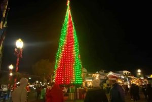 San Francisco: tour in jeep per gruppi privati di Holiday Lights