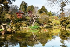 サンフランシスコ：乗り降り自由のバス、フェリー、アルカトラズ島ツアー