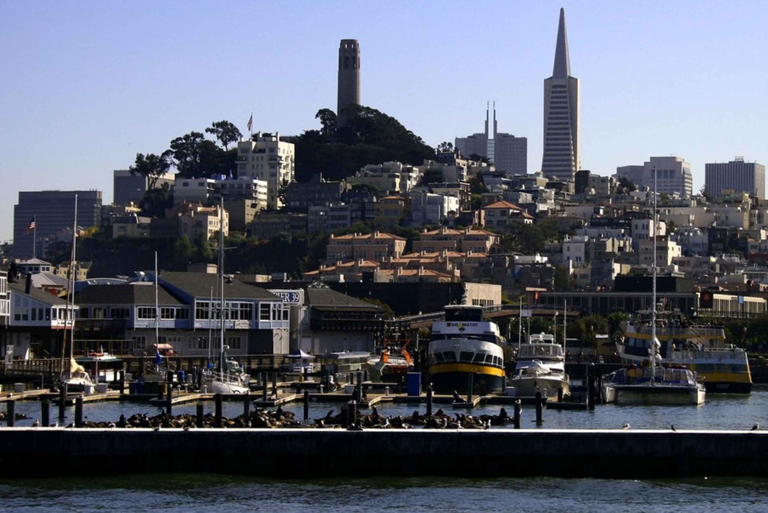 San Francisco: Wycieczka autobusowa hop-on hop-off po mieście i rejs po zatoce