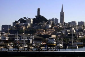 San Francisco: Hop-On/Hop-Off-Bus-Tour und Bay Cruise