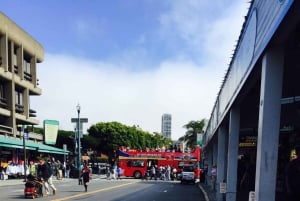 San Francisco : visite en bus à arrêts multiples multiples de luxe avec 20 arrêts