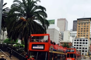 San Francisco : visite en bus à arrêts multiples multiples de luxe avec 20 arrêts