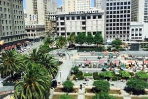 San Francisco : visite en bus à arrêts multiples multiples de luxe avec 20 arrêts