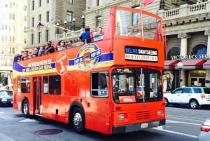 San Francisco : visite en bus à arrêts multiples multiples de luxe avec 20 arrêts