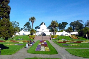 San Francisco: En dags hop-on-hop-off – stadstur & kvällstur