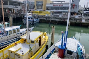 San Francisco: Golden Gate Bay Voyage on Historic Boat