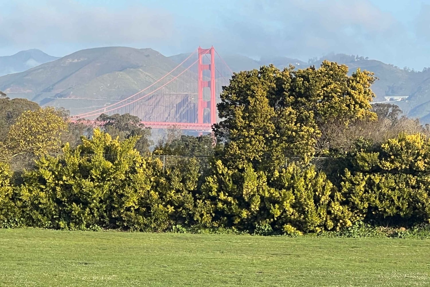 Сан-Франциско: частная обзорная экскурсия по главным достопримечательностям