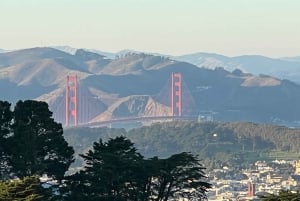 San Francisco: Tour panoramico privato dei principali luoghi d'interesse