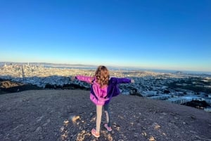 San Francisco: Private sightseeingtur til de største seværdigheder