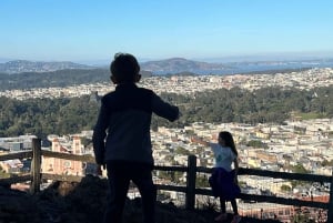 São Francisco: Passeio turístico privado pelos principais pontos turísticos