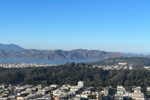 San Francisco: Private sightseeingture til de vigtigste seværdigheder