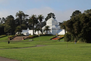 São Francisco: Visita turística privada aos principais marcos históricos