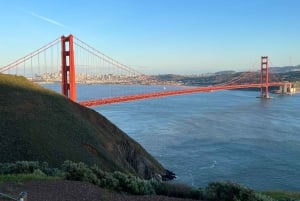 Сан-Франциско: частная обзорная экскурсия по главным достопримечательностям