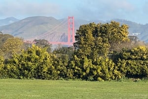 Сан-Франциско: частная обзорная экскурсия по главным достопримечательностям