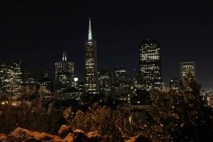 Сан-Франциско: частная обзорная экскурсия по главным достопримечательностям