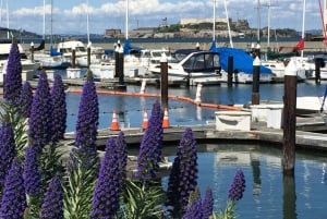 Сан-Франциско: частная обзорная экскурсия по главным достопримечательностям