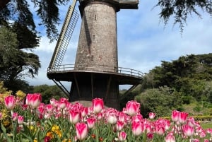 Сан-Франциско: частная обзорная экскурсия по главным достопримечательностям