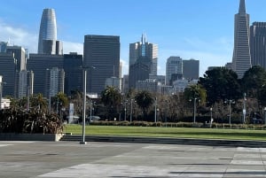 Сан-Франциско: частная обзорная экскурсия по главным достопримечательностям