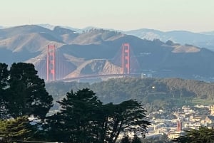 Сан-Франциско: частная обзорная экскурсия по главным достопримечательностям