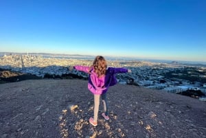 Сан-Франциско: частная обзорная экскурсия по главным достопримечательностям