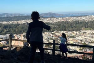 Сан-Франциско: частная обзорная экскурсия по главным достопримечательностям